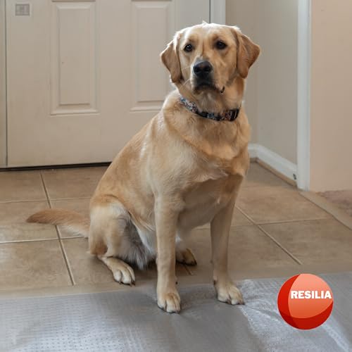 Pet Carpet Protector - Doorway Damage Deterrent and Scratch-Stopper for Cats, Dogs, and Pets, Heavy-Duty PVC Runner, Cut to Fit, Clear, 15 Inches x 48 Inches, Made in The USA - size: 1'3" x 4' (Rectangular)