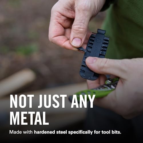 LEATHERMAN Bit Kit Number 1, Double-Ended Screwdriver Bits, Black - color: Black, size: #1