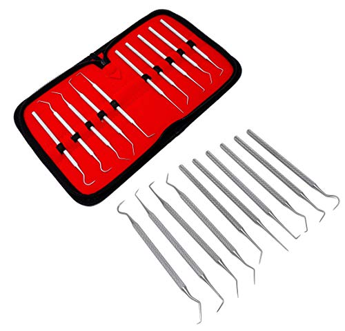 Set of 10 Stainless Steel Precision Micro Pick Set Combo, 5.5 inch to 6 inch Overall Length
