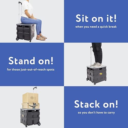 dbest Products Quik Cart Standard Collapsible Rolling Crate - Gray Lid - color: Gray, style: Standard