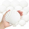 denking Large Scallop Shells, 30 PCS, 4-5 Inch - color: 30pcs 4"-5"