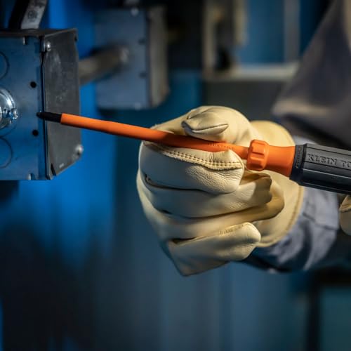 Klein Tools 6836INS Insulated Screwdriver, Made in USA, 1000V #2 Phillips Tip Screwdriver with 6-Inch Shank, Tip-Ident, Cushion-Grip Handle - style: #2 Phillips, 6-Inch
