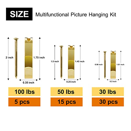 50pcs Picture Hangers with Different Sizes, Heavy Duty 30-100lbs Picture Hanging Hooks with Nails, Wall Hangers,Picture Hooks,Professional Plaster Picture Hanging Kit for Wooden Wall or Drywall - size: Gold 30-100 lbs