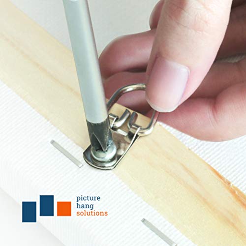 PHS D-Ring Picture Hangers, Holds 10 lb, 1000 Pack with Screws - size: 1000 Pack