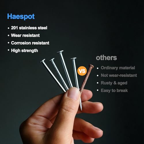 600pcs Galvanized Stell Nails, Nails Assortment Kit
