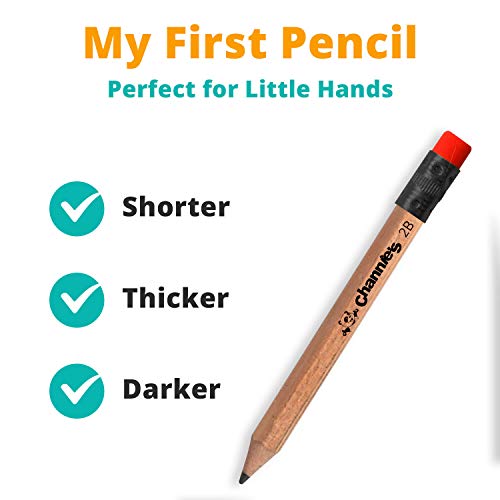 Channie's My First Pencil, Easy-to-Hold Jumbo Pencils for Preschoolers, Kindergarteners & 1st Graders, Brown Wooden 2B Fat Pencils for Kids Ages 3-7, 2 Pack (5 Each) + Sharpener - style: Easy to Hold Wooden Lead 2B Graphite Pre-Sharpened Pencils