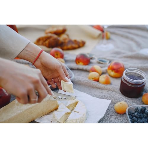 6-Piece Cheese Knife Set, Premium Stainless Steel, Storage Bag - color: Metal Silver