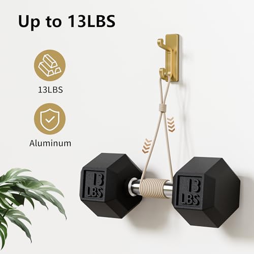 Gold Self Adhesive Wall Hooks for Coats - StainlessDouble Hook. - color: Gold, size: 6 Pack