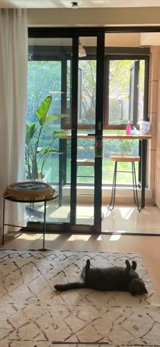 40 Inch Table Legs,Black Set of 4, with Adjustable Feet Pads. - size: 40"