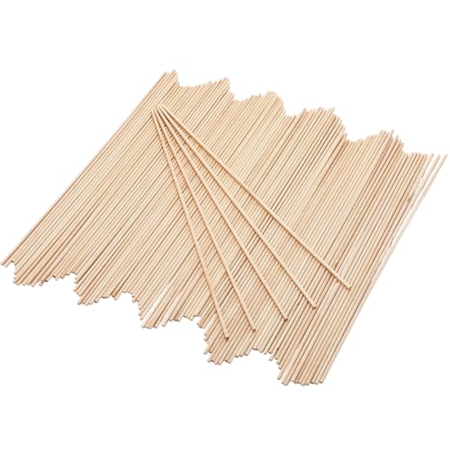 Eboot 100 Pack Craft Dowel Rods, 12 x 1/8 Inch Wood Sticks