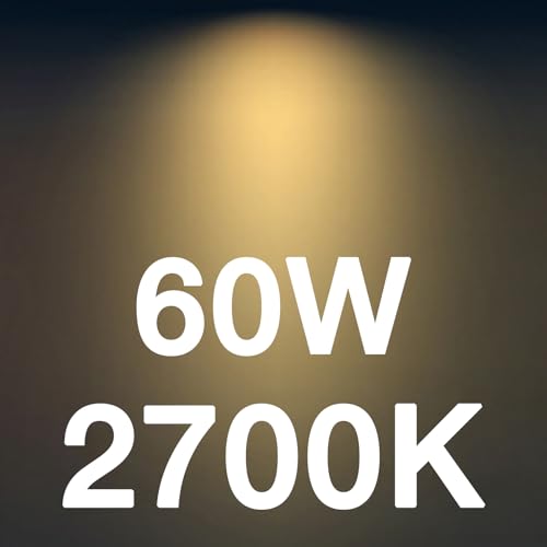 FLSNT B11 E12 LED Candelabra Bulbs 60W Equivalent, Dimmable LED Candle Light Bulbs, 2700K Soft White (Warm Light), Pack of 12 - color: 2700k Soft White, size: 12 Count (Pack of 1)