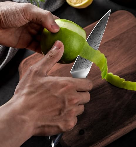 Kitchen Paring Knife 4“, Japanese Powder Steel 63 HRC - size: 4"