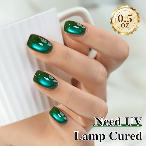 Double Rhythm Jelly Glass Cat Eye Gel Polish with Magnet 15ML Holographic Glitter Shimmer Translucent Sheer Color Magnetic Nail Polish Salon DIY at Home (Dark Green-MC1263) - color: Aurora Dark Green