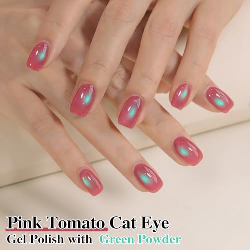 Double Rhythm Jelly Glass Cat Eye Gel Polish with Magnet 15ML Holographic Glitter Shimmer Translucent Sheer Color Magnetic Nail Polish Salon DIY at Home (Pink Teal-MC1267) - color: Aurora Pink Green