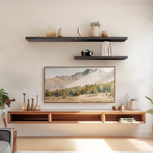 Amada 24 Inch Floating Shelves with Invisible Brackets, Set of 2, Black | Wall Shelves with Hidden Bracket, Solid MDF Wood, 22 lbs Max Load per Shelf, Easy to Assemble, Multi-Wall Compatible - color: Black, size: 24 inches