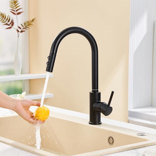 TIORIY Metal Kitchen Faucet Spray Head Replacement, Stainless Steel Pull Down Kitchen Faucet Head with 15 Adapters, 2 Functions Kitchen Faucets Nozzle, Black - color: Matte Black