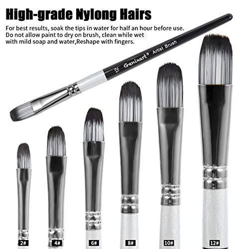 Genixart Filbert Paint Brush Set - Art Paintbrushes Acrylic Oil Watercolor - size: Filbert - 6 Pcs