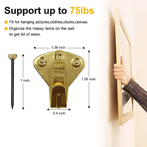 Earthquake Hangers Heavy Duty Picture Hanging Hooks 75lbs 10pcs