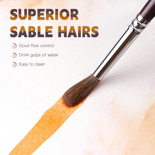 Fuumuui Sable Watercolor Brushes, Professional 10Pcs Sable Paint Brush Set Variety Shapes with Flats, Extended Needle Point, Dagger, Cat's Tongue, Rounds Perfect for Watercolor Acrylic Gouache Inks - color: Brown