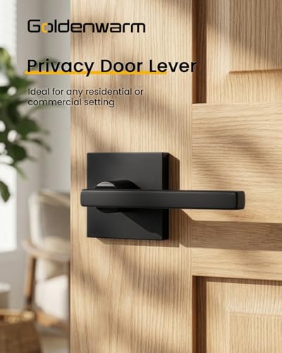Goldenwarm Black Interior Door Handles, Matte Black Door Handle Interior, Black Privacy Lever Door Handle, Heavy Duty Interior Door Levers, Contemporary Bathroom Door Handles Bulk(6 Pack) - color: Matte Black