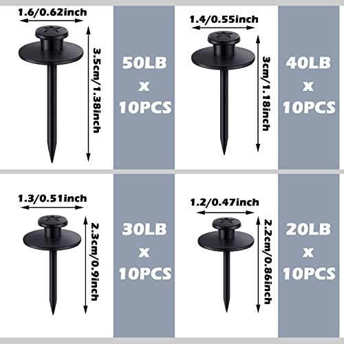 Zhengmy 40 Pcs Double Headed Picture Hangers Nails 4 Size, Black - color: Black