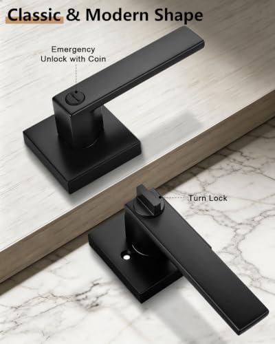 Probrico Interior Privacy Door Lever Handles with Lock, Matte Black 10 Pack Bedroom & Bathroom Zinc Alloy Lockset - color: Matte Black