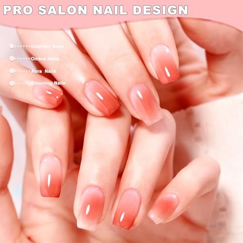 10Pcs Ombre Nail Brush Set, Silicone Chrome Powder Brush for Blooming & Aura Nails, French Tip Manicure, Nail Palette | Mixing Rod | Gradient Painting Pen Acrylic Nails Polish Design Tools