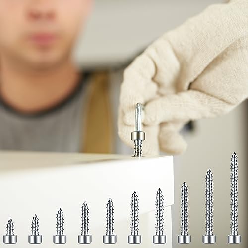 Metric Hex Socket Cap Head Self Tapping Screws, 480pcs M3 Stainless Steel Socket Head Cap Wood Screws Assortment Kit, Hex Drive Head Cap Self Drilling Screws(480 Silver) - color: 480 Silver