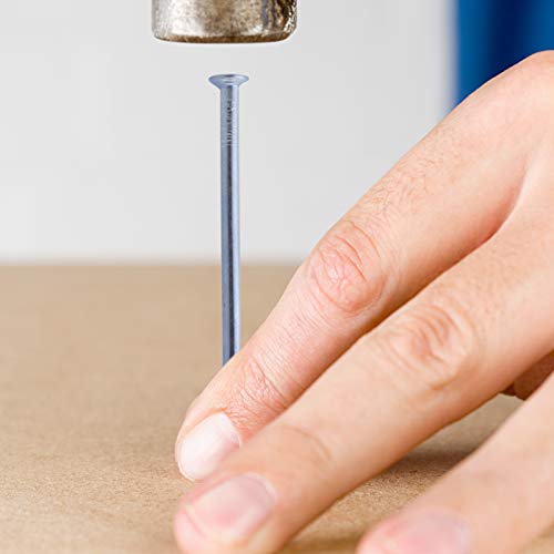 Hardware Nails Assortment Kit, 600PCS Galvanized Nails, Picture Hanging Nails, Includes Finish, Wire, Common, Brad Nails - style: 600pcs-6sizes
