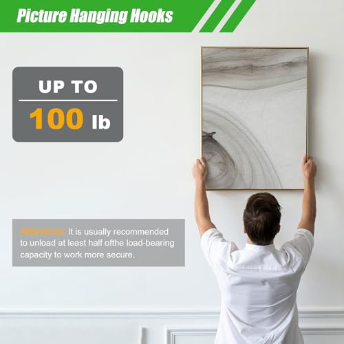 169 Picture Hanging Kit, 10-100lb Picture Hook Sets, Boxed 83 Metal Picture Hangers and 86 Nails, Suitable for Wooden Walls, Plasterboard Picture Hooks.