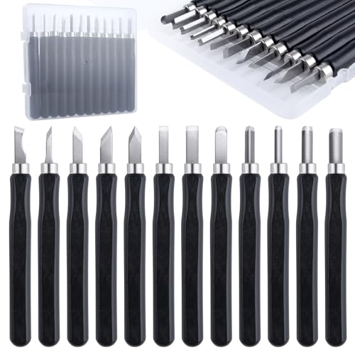 12 Pcs Wood Carving Tools Set SK2 Steel Small Wood Chisel, Multipurpose Hand Carving Knife Tool Kit with Storage Box, Sculpting Knife Kit for DIY Sculpture Carpenter Experts and Beginners