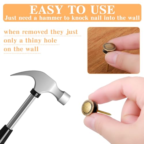 Ferraycle 40 Piece Double Headed Picture Hangers Nails 4 Size - color: Bronze
