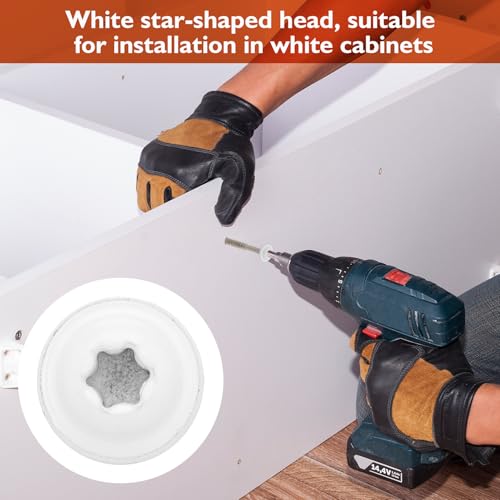 Frienda 2 Pound White Cabinet Screws Bulk #10x2-1/2'' Approx. 171 Pcs - color: Silver, size: #10x2-1/2 Inch