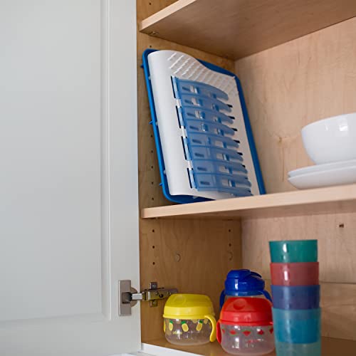 Dr. Brown's Baby Bottle Cleaning Brush with Sponge and Scrubber - Blue - 3pk and Universal Baby Bottle and Accessory Drying Rack - color: Blue Bottle Brush & Drying Rack, size: 3-Pack