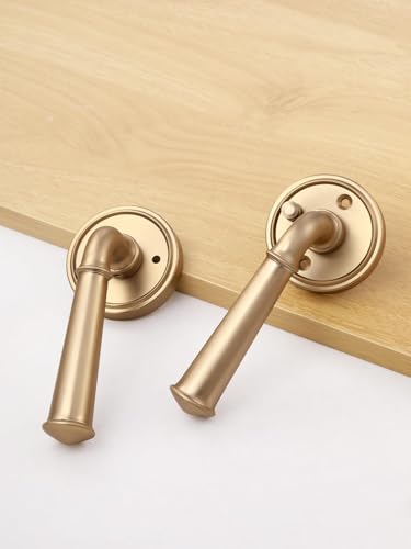 Door Handle Champagne Bronze Privacy Door Door Lever, 1 Pack - color: Champagne Bronze