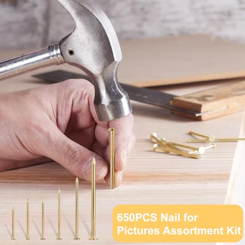 Gold Picture Hanging Nails Kit 650 Pcs - 4 Sizes Premium Galvanized Steel Wall Nails with Storage Box for Frames, Photos, Artworks - size: 650Pcs Gold Nails