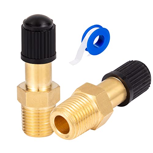 2PCS 1/8" NPT Tank Valve Anti-Corrosion Brass Schrader Valve with Standard Valve Core with 1/8'' NPT Male,Using with Air Compressor Tanks with Sealing Caps - size: 2PCS 1/8" NPT Tank Valve
