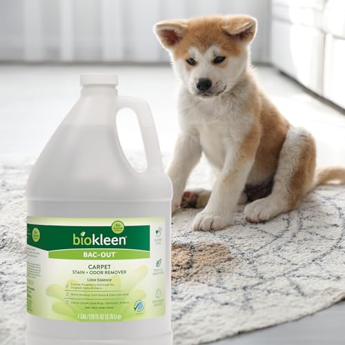 Biokleen Bac Out Enzyme Cleaner, Stain & Pet Odor Eliminator, Lime Scent - size: 128 Fl Oz (Lime)