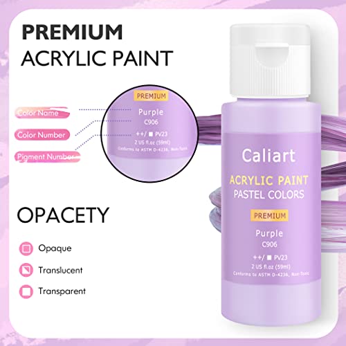 Caliart 24 Colors Pastel Acrylic Paint Set with 12 Brushes - color: Pastel, size: 2 Fl Oz (Pack of 24)