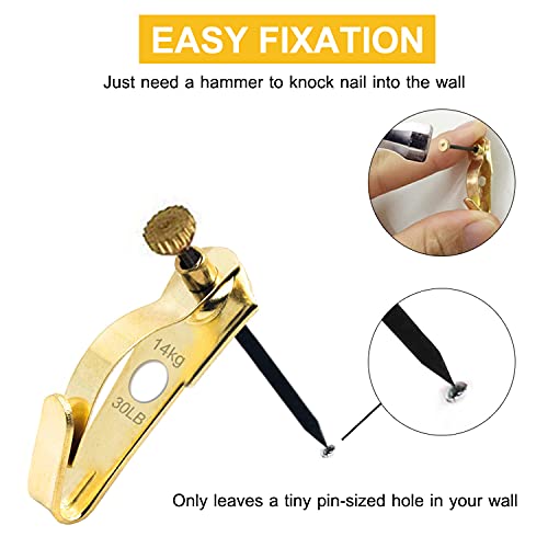 FUZANWJ 30lbs Earthquake Picture Hangers, Picture Hanging Hooks,30pcs