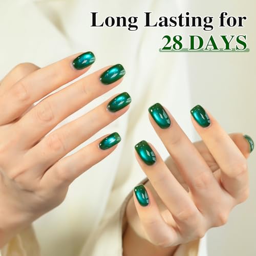 Double Rhythm Jelly Glass Cat Eye Gel Polish with Magnet 15ML Holographic Glitter Shimmer Translucent Sheer Color Magnetic Nail Polish Salon DIY at Home (Dark Green-MC1263) - color: Aurora Dark Green