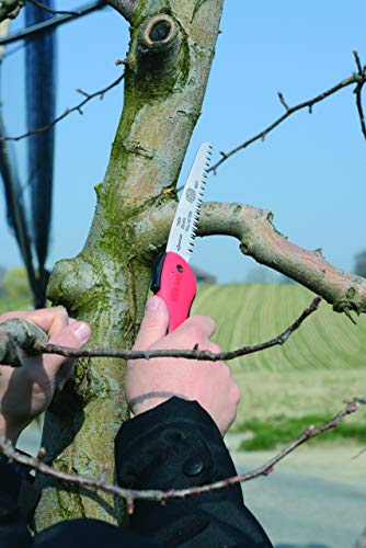 Felco Folding Saw (F 600) - Classic Tree Pruning Saw with Pull-Stroke Action, Red - size: 6.3 in (Folding)