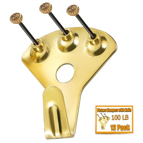 12PCS 100lbs Heavy Duty Picture Hangers with Nails,Picture Hanging Hooks,Heavy Picture Hanging Hardware Used in Wooden Wall & Drywall for Mirror, Photo Frame,Clock,House Decoration - style: Style A