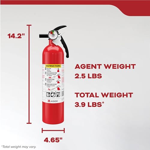 Kidde Basic 110 Fire Extinguisher for Home, 1-A:10-B:C, FA110G, 1 Pack - size: 1 Pack