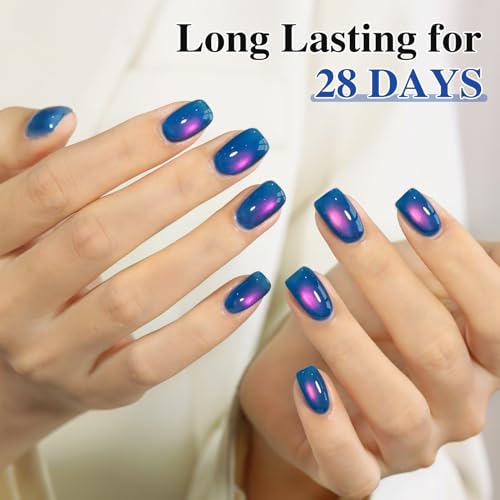 Double Rhythm Jelly Glass Cat Eye Gel Polish with Magnet 15ML Holographic Glitter Shimmer Translucent Sheer Color Magnetic Nail Polish Salon DIY at Home (Navy Blue-MC1264) - color: Aurora Blue Purple