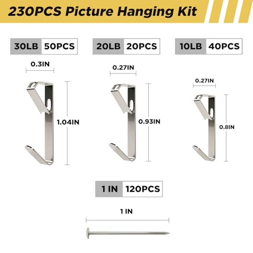Picture Hanging Hooks 230 Pieces,10lb, 20lb, and 30lb Picture Hangers - color: Silver
