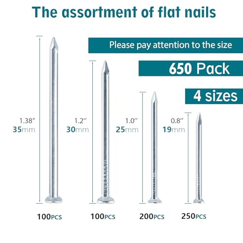 Nail for Hanging Pictures Assortment Kit - 650Pcs Small Nails, Finishing Nails, Hanging Nails, Picture Nails, Wall Nails for Hanging, Pin Nails - size: 650Pcs Galvanized Nails