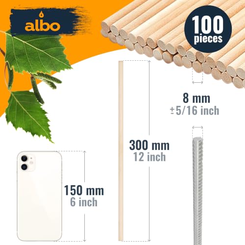 ALBO Wooden Dowel Rods 25 PCS 5/16" x 12" Inch Round Wood Sticks for Crafts, DIY Projects and Macrame Hardwood Assorted Bouquet Sticks Cake Dowels for Tiered Cakes - size: 5/16" x 12" 25 Pcs