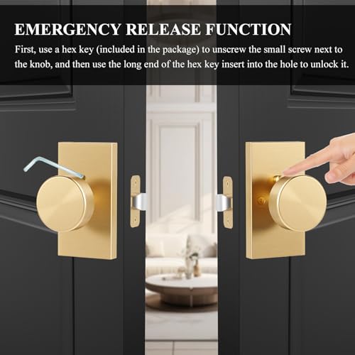 Satin Brass Gold Door Knobs Privacy Door Knobs Interior with Lock - color: Brushed Brass