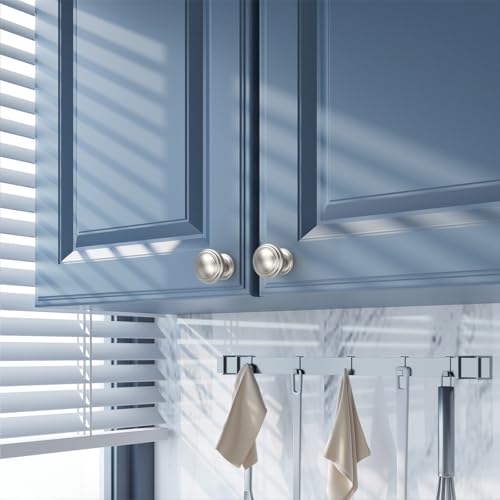 Amerdeco 10 Pack Brushed Satin Nickel Cabinet Knobs Single Hole Cabinet Pulls 1 Inch Drawer Knobs for Bathroom Cabinets ZH0086 - color: Brushed Satin Nickel, size: 1" Single Hole